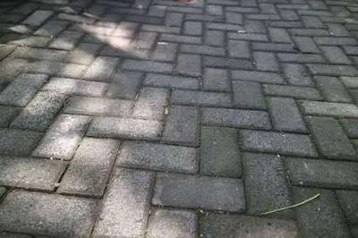 Driveway and concrete cleaning services in Jacksonville Florida